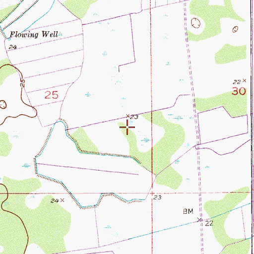 Topographic Map of Temple Beth El Israel, FL