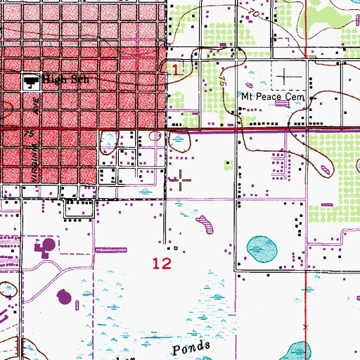 Topographic Map of Souls Harvest Church, FL