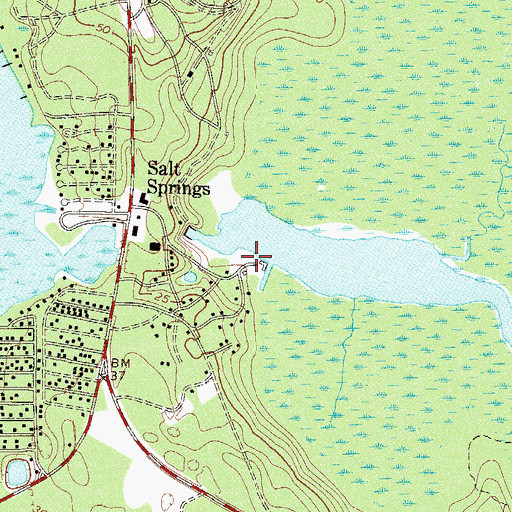 Topographic Map of Salt Springs Run Marina, FL