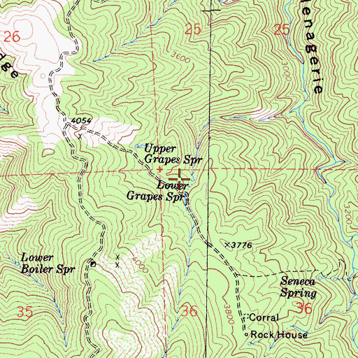 Topographic Map of Lower Grapes Spring, CA