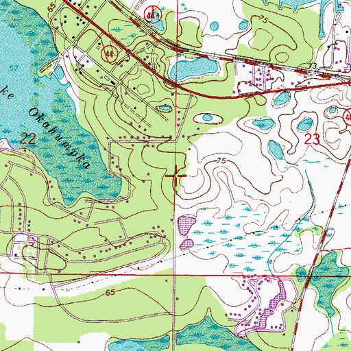 Topographic Map of Wildflower Country Club, FL