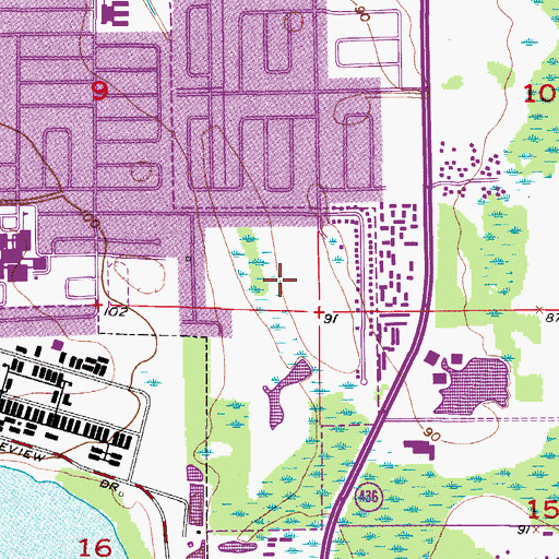 Topographic Map of Wyndham Palms Resort and Country Club, FL