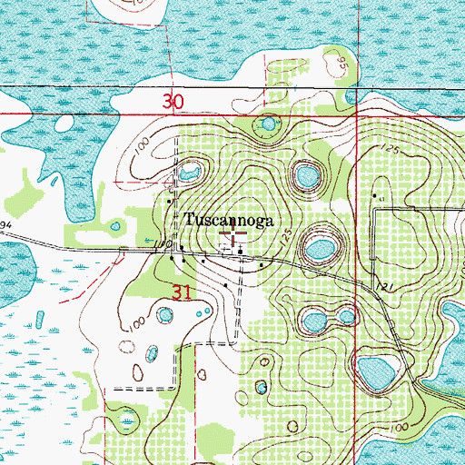 Topographic Map of Tuscanooga Baptist Cemetery, FL