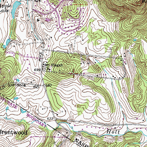 Topographic Map of Mount Pisgah United Methodist Church, TN