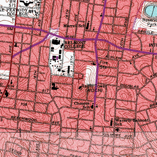 Topographic Map of Bruin Hills, TN