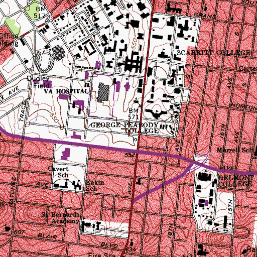 Topographic Map of Dayani Center, TN