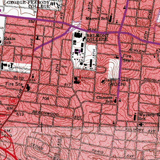 Topographic Map of Dynamo Room, TN