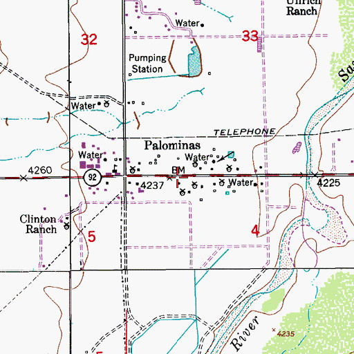 Topographic Map of Palominas, AZ