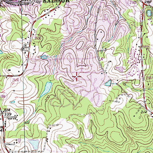 Topographic Map of Truevine Apostolic Temple International, NC