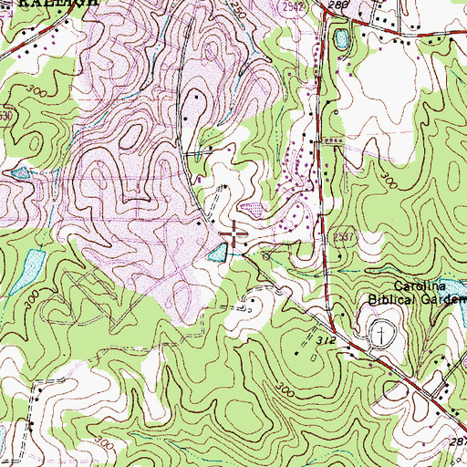 Topographic Map of Young Missionary Temple, NC