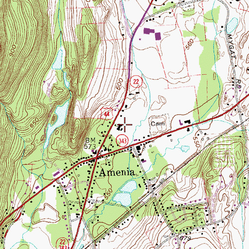 Topographic Map of Amenia Elementary School, NY