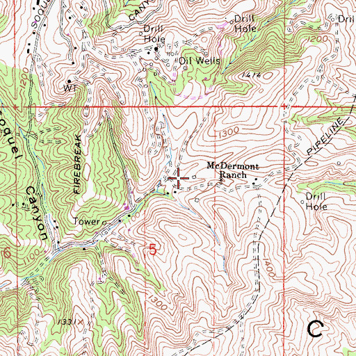 Topographic Map of McDermont Ranch, CA