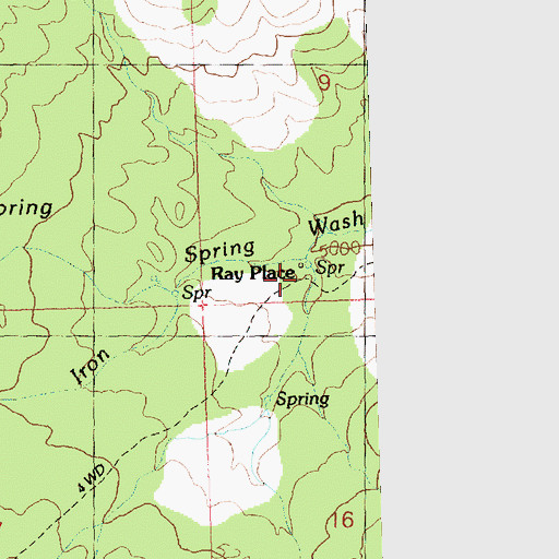 Topographic Map of Ray Place, AZ