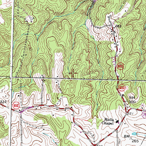 Topographic Map of Peacock Station, VA