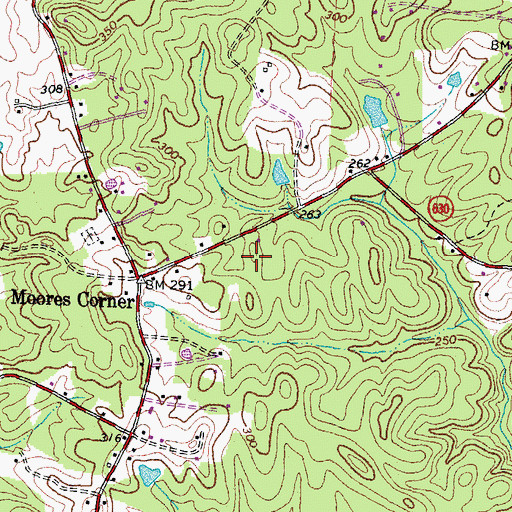 Topographic Map of Peppermint Forest, VA