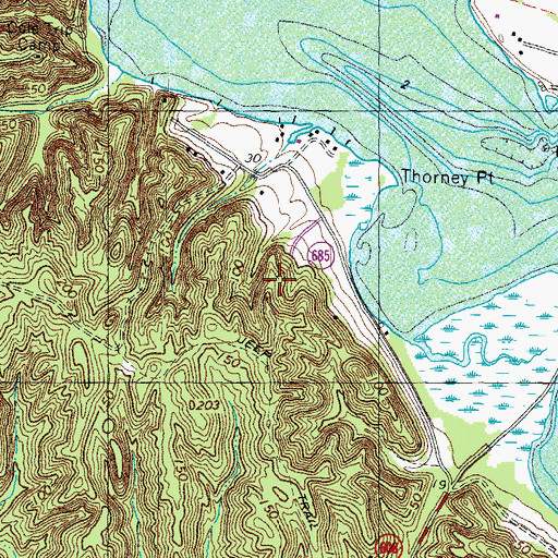 Topographic Map of Thorny Point Farm, VA