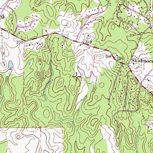 Topographic Map of Whitestone, VA