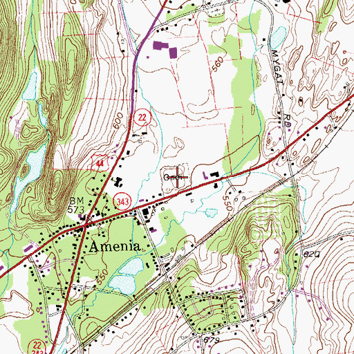 Topographic Map of Amenia Island Cemetery, NY