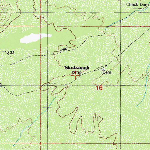 Topographic Map of Skoksonak, AZ