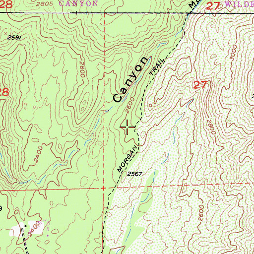 Topographic Map of Morgan Trail, CA