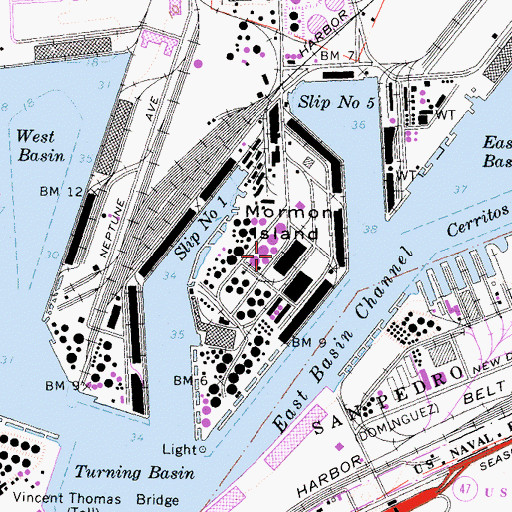 Topographic Map of Mormon Island, CA