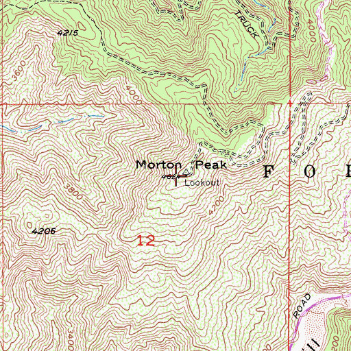 Topographic Map of Morton Peak, CA
