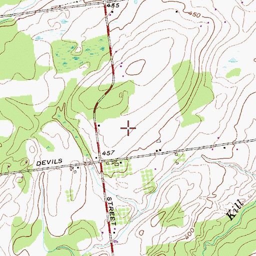 Topographic Map of Silver Springs, NY