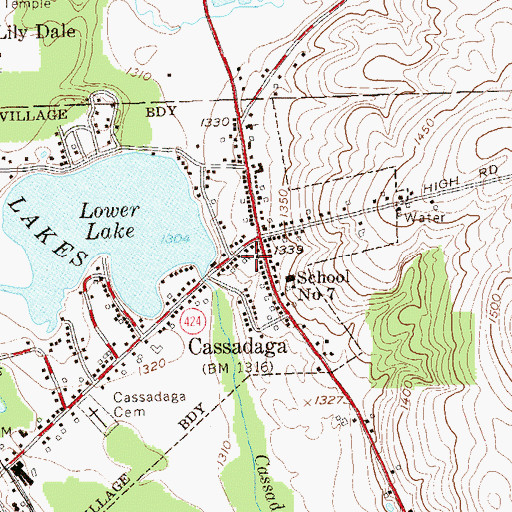 Topographic Map of Cassadaga Community Baptist Church, NY