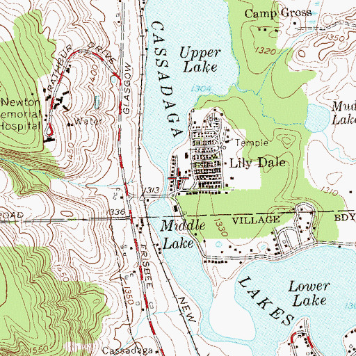 Topographic Map of Marian H Skidmore Library, NY