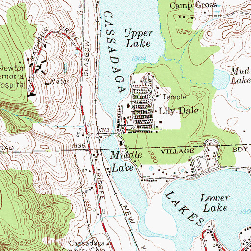 Topographic Map of Melrose Park, NY