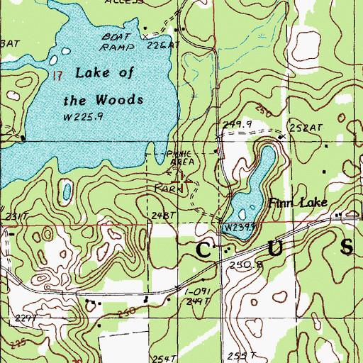 Topographic Map of Custer Township Park, MI