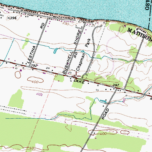 Topographic Map of Bushnell School (historical), NY