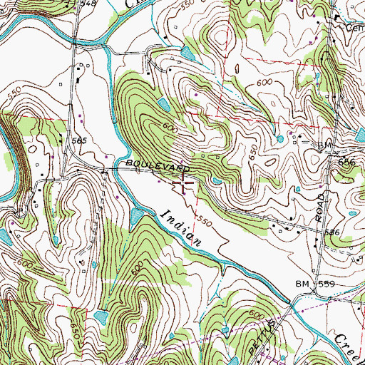 Topographic Map of Commissioner District 31, TN