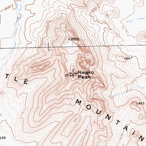 Topographic Map of Negro Peak, CA