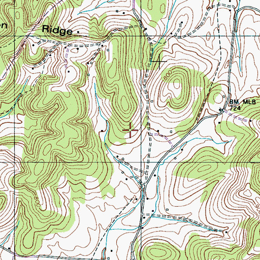 Topographic Map of Commissioner District 7, TN