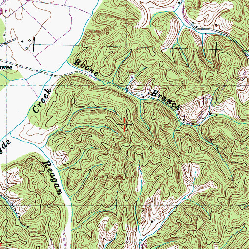 Topographic Map of Commissioner District 9, TN