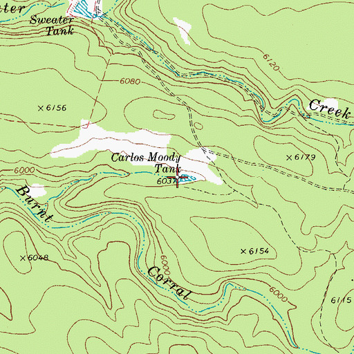 Topographic Map of Carlos Moody Tank, AZ