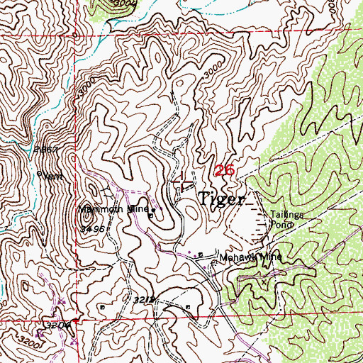 Topographic Map of Tiger, AZ
