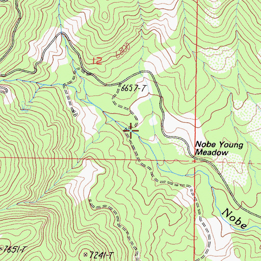 Topographic Map of Nobe Young Meadow, CA