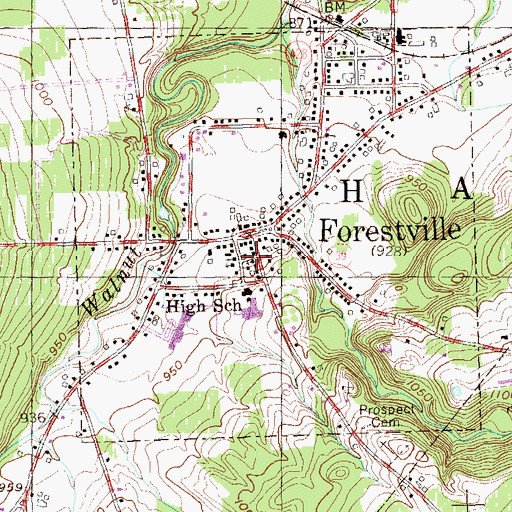 Topographic Map of Forestville Baptist Church, NY