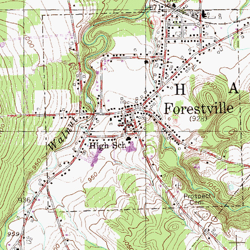 Topographic Map of Forestville United Methodist Church, NY