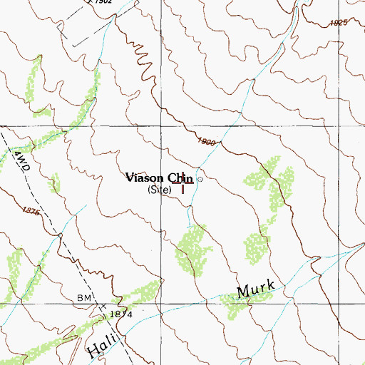 Topographic Map of Viason Chin, AZ