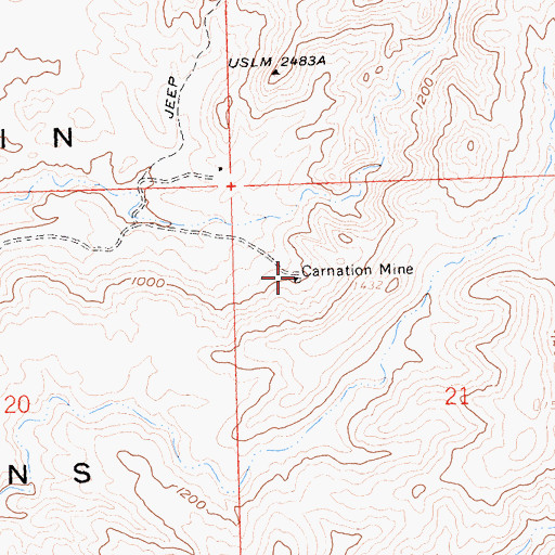 Topographic Map of Carnation Mine, AZ