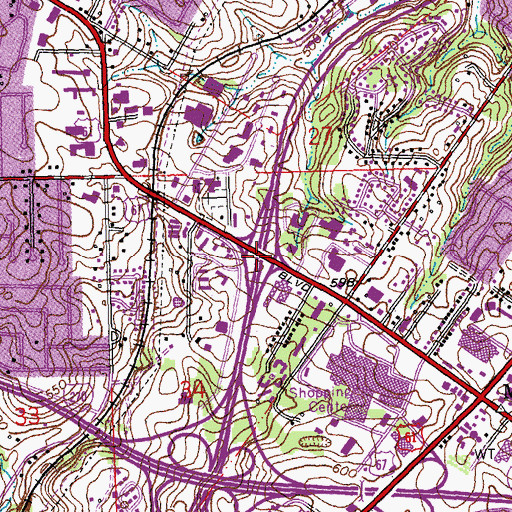 Topographic Map of Interchange 197, MO