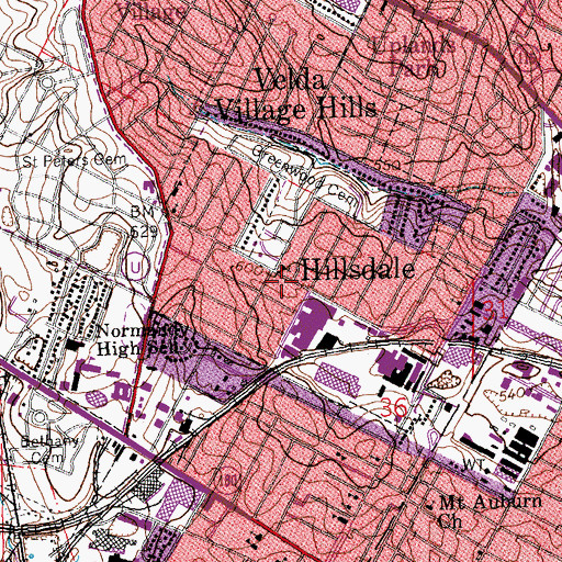 Topographic Map of Holy Trinity Church of Christ, MO