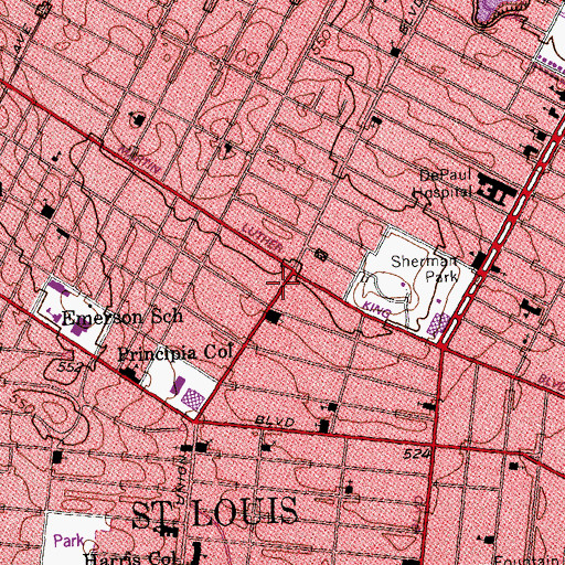 Topographic Map of New Light Missionary Baptist Church, MO