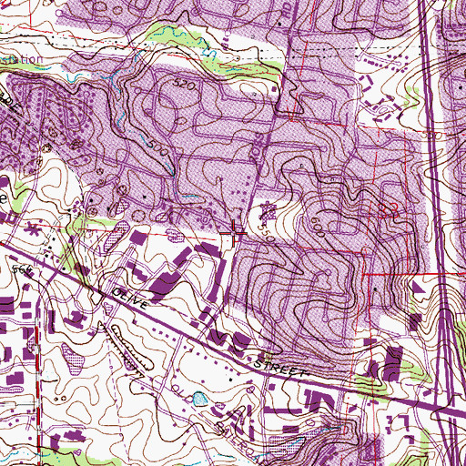 Topographic Map of Ross Elementary School, MO