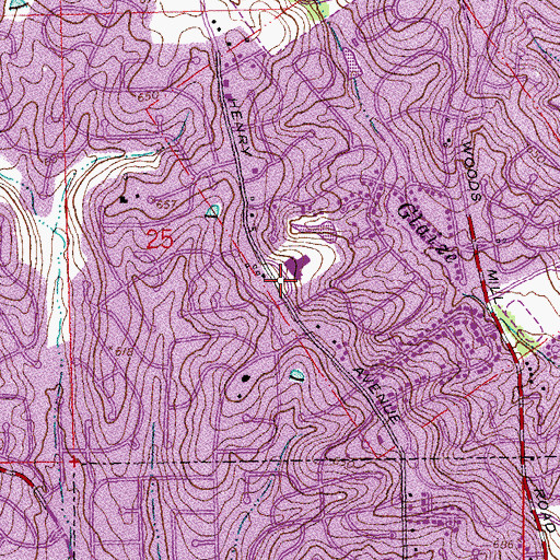 Topographic Map of Henry Elementary School, MO