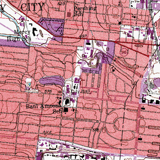 Topographic Map of Julia Goldstein Early Child School, MO