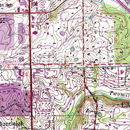 Topographic Map of Litzsinger School, MO